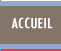 Sadmex Group - Service d'exportation et développement Accueil